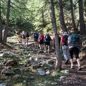 Photo de paysage panoraminque de haute montagne et de chemins de randonnée dans les alpes