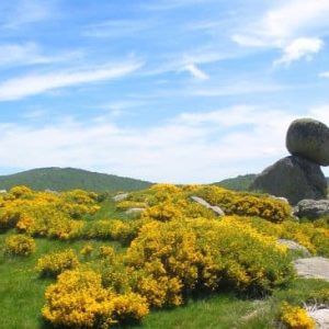vignette-cevennes-liberte-rando