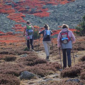 vignette-cevennes- marche nordique